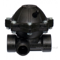 Powietrznik kompletny pompy P-120 Biardzki